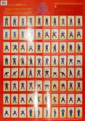 Eight Sectioned Satin Chi-Kung Poster