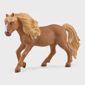 Icelandic Pony Stallion 13943
