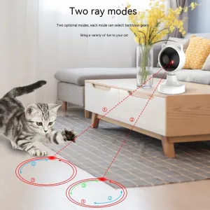 LaserPaw Cat Teaser