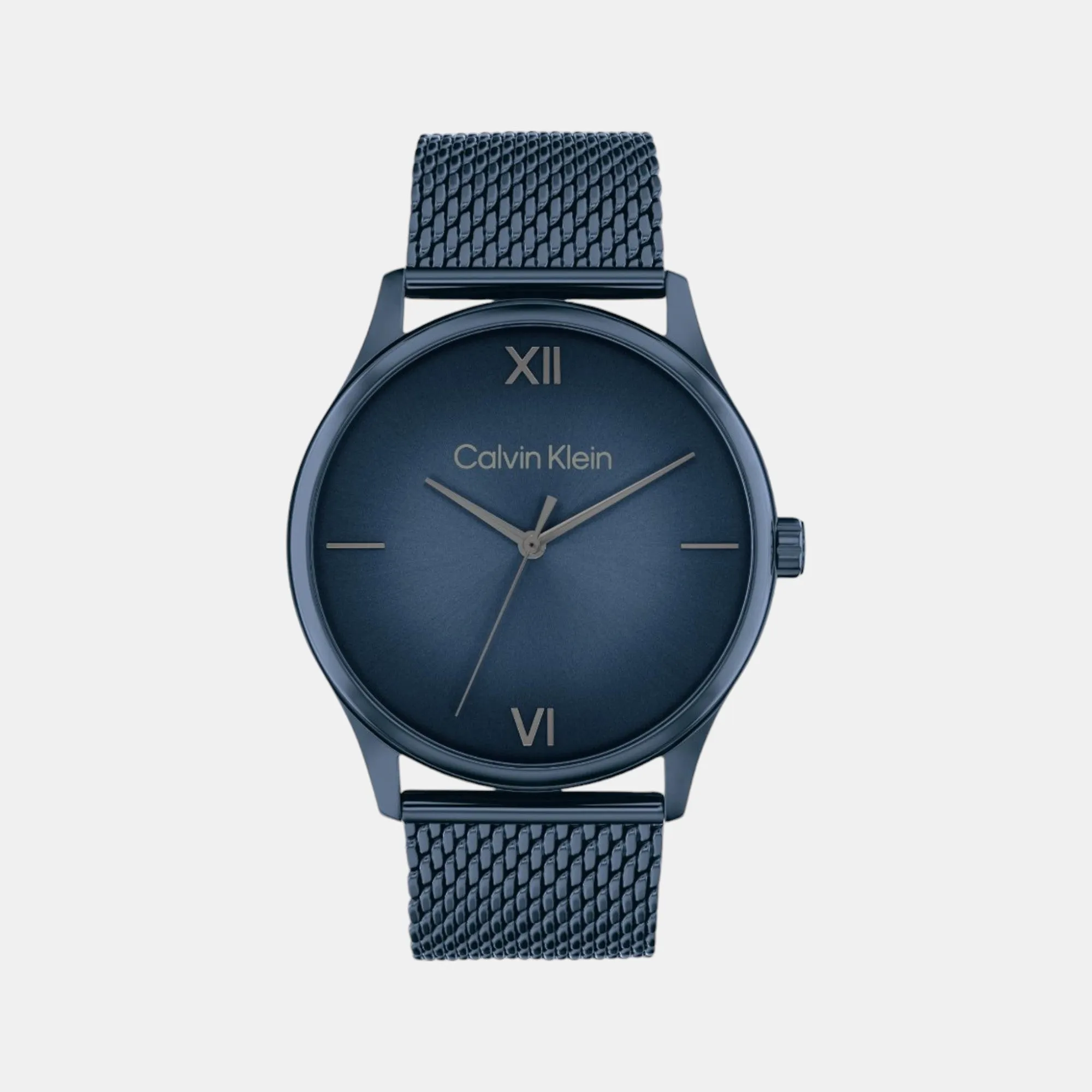 Men Quartz Analog Blue Dial Mesh Watch 25200451