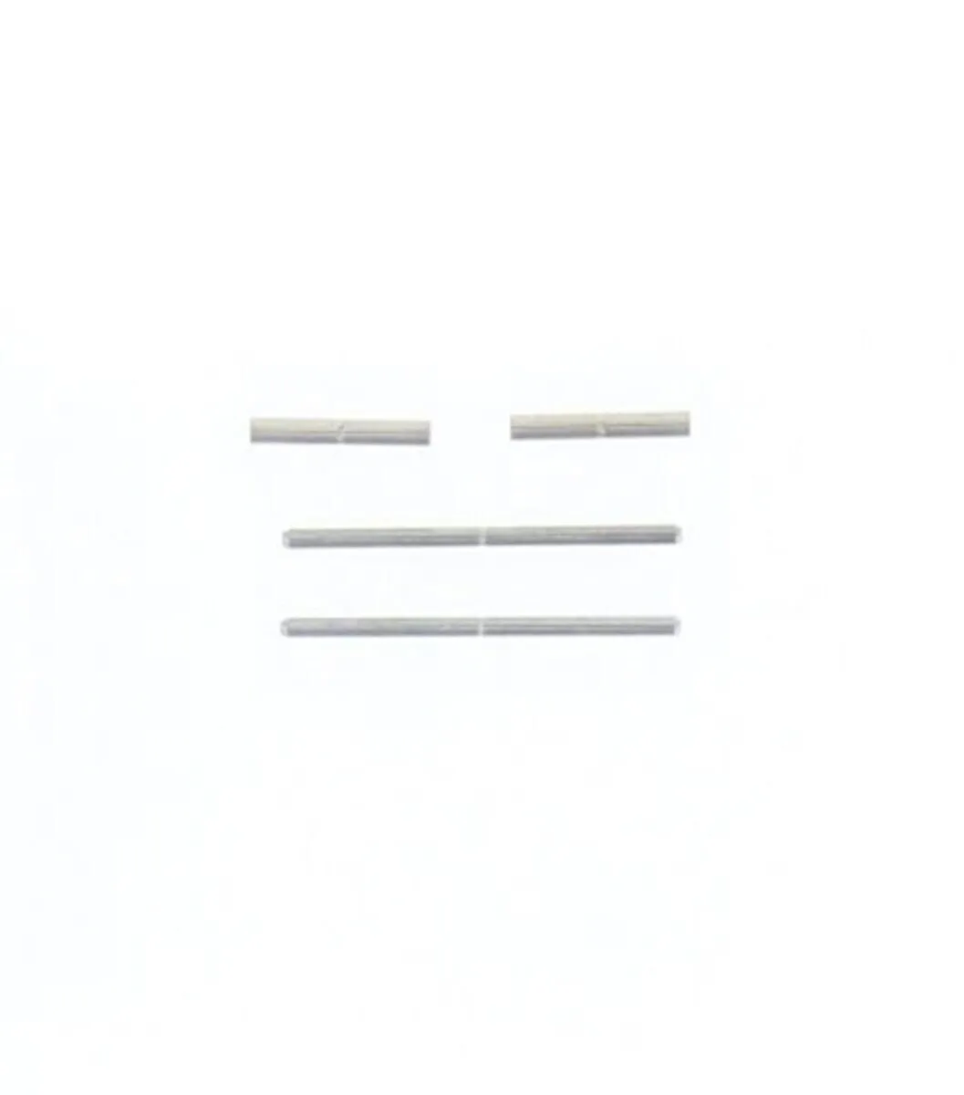 PIN & TUBE FOR WATCH BAND TAG HEUER KIRIUM WL1010  WL1110 WL1111  WL1112 WL1114